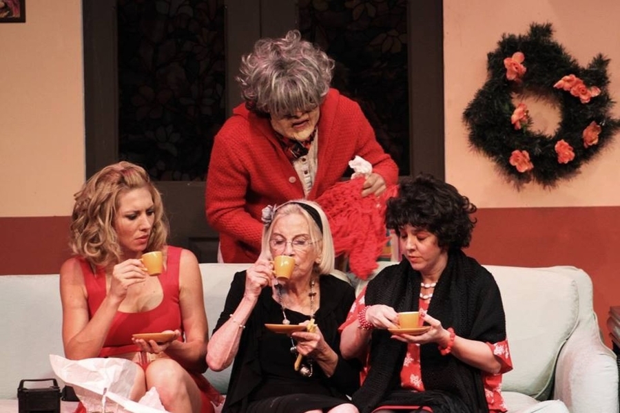 download torrent peliculas argentinas